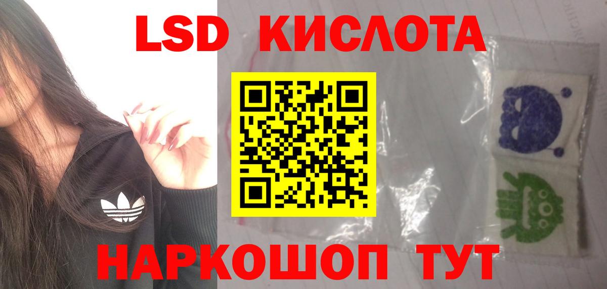 Альфа ПВП Тамбов