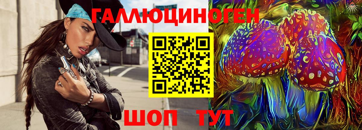 Галлюциногенные грибы Psilocybe  Вход с VPN  Тамбов 