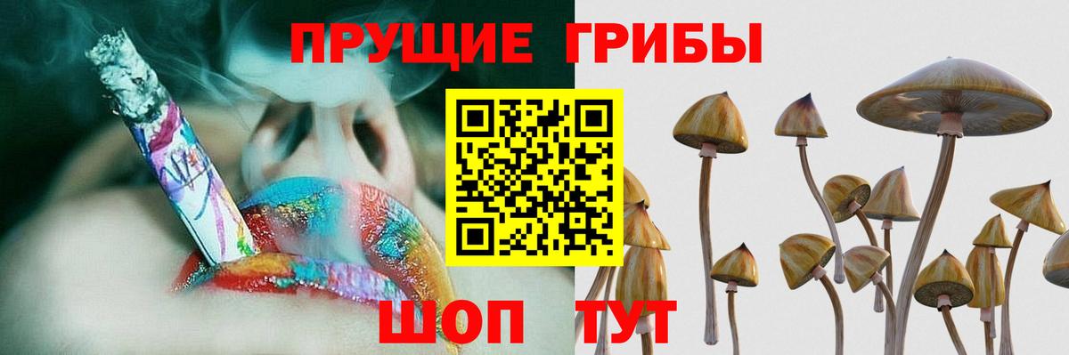 Псилоцибиновые грибы Magic Shrooms Тамбов